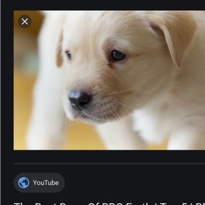 Meet your Posher, Alexa